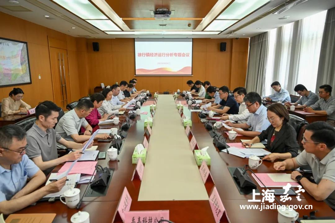 区领导来徐行开展经济运行专题调研  